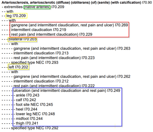 [宅送] ICD-10-CM Disease Vascular Peripheral for Coding 健康・医学